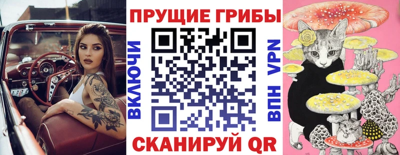 Псилоцибиновые грибы Psilocybine cubensis  Михайлов 